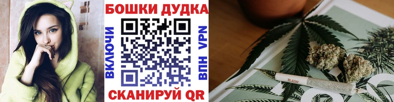 Купить где  Северо-Курильск  Шишки марихуана Amnesia 
